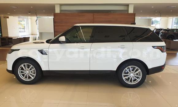 Tenga Tsaru Land Rover Range Rover Sport Chena Mota in Livingstone in Zambia Tenga Tsaru Land Rover Range Rover Sport Chena Mota in Livingstone in Zambia