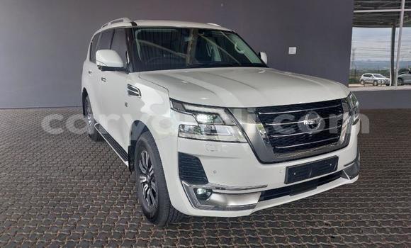 Buy Used Nissan Patrol White Car in Lusaka in Zambia