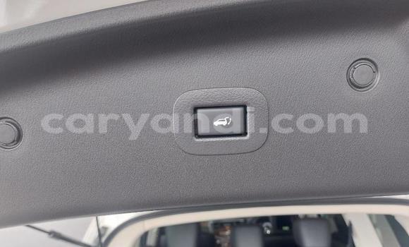 Acheter Occasion Voiture Nissan Patrol Blanc à Lusaka, Zambie Acheter Occasion Voiture Nissan Patrol Blanc à Lusaka, Zambie