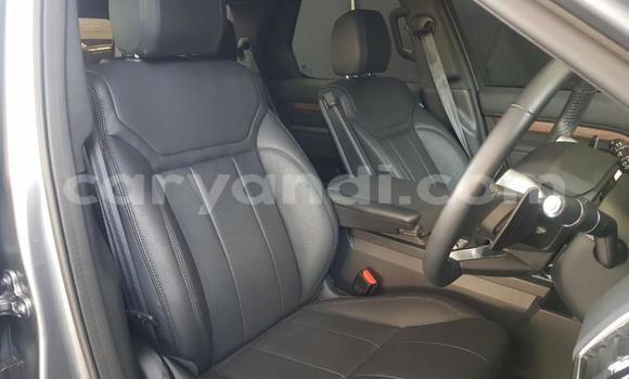 Nunua Ilio tumika Land Rover Discovery Sport Fedha Gari ndani ya Lusaka nchini Zambia Nunua Ilio tumika Land Rover Discovery Sport Fedha Gari ndani ya Lusaka nchini Zambia