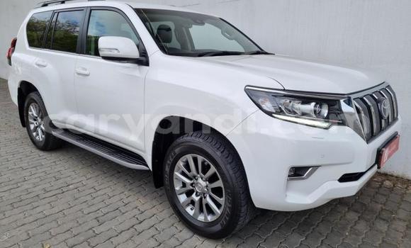Buy Used Toyota Land Cruiser Prado White Car in Lusaka in Zambia