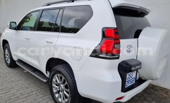Acheter Occasion Voiture Toyota Land Cruiser Prado Blanc à Lusaka, Zambie Acheter Occasion Voiture Toyota Land Cruiser Prado Blanc à Lusaka, Zambie