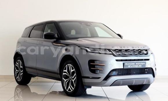 Acheter Occasion Voiture Land Rover Range Rover Evoque Gris à Livingstone, Zambie