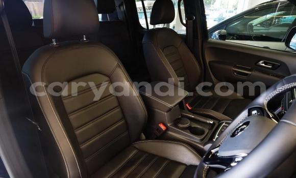 Tenga Tsaru Volkswagen Amarok Nhema Mota in Lusaka in Zambia Tenga Tsaru Volkswagen Amarok Nhema Mota in Lusaka in Zambia