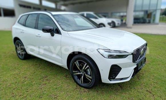 Acheter Occasion Voiture Volvo XC60 Blanc à Maamba, Du sud Acheter Occasion Voiture Volvo XC60 Blanc à Maamba, Du sud