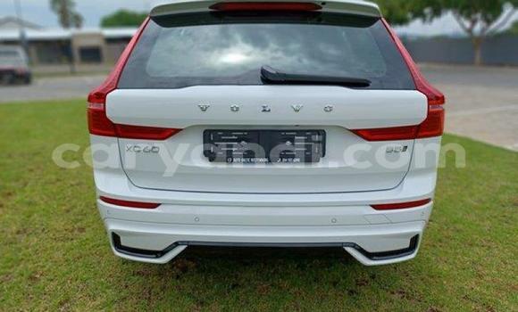 Tenga Tsaru Volvo XC60 Chena Mota in Maamba in Southern Tenga Tsaru Volvo XC60 Chena Mota in Maamba in Southern