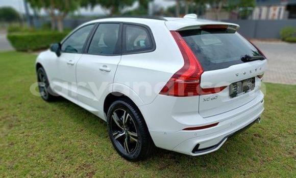 Tenga Tsaru Volvo XC60 Chena Mota in Maamba in Southern Tenga Tsaru Volvo XC60 Chena Mota in Maamba in Southern