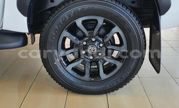 Buy Used Toyota Hilux White Car in Lusaka in Zambia Buy Used Toyota Hilux White Car in Lusaka in Zambia