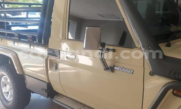 Tenga Tsaru Toyota Land Cruiser Bhurawuni Mota in Livingstone in Zambia Tenga Tsaru Toyota Land Cruiser Bhurawuni Mota in Livingstone in Zambia