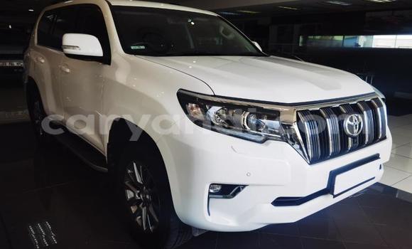 Nunua Ilio tumika Toyota Land Cruiser Prado Nyeupe Gari ndani ya Kitwe nchini Zambia Nunua Ilio tumika Toyota Land Cruiser Prado Nyeupe Gari ndani ya Kitwe nchini Zambia