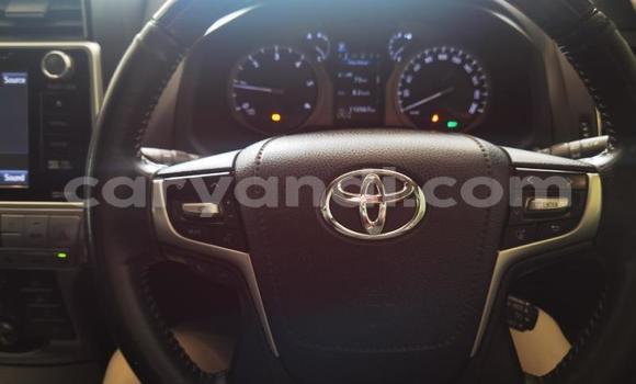 Tenga Tsaru Toyota Land Cruiser Prado Chena Mota in Kitwe in Zambia Tenga Tsaru Toyota Land Cruiser Prado Chena Mota in Kitwe in Zambia