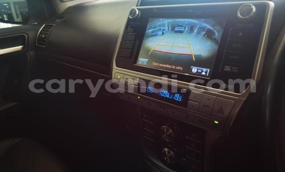 Tenga Tsaru Toyota Land Cruiser Prado Chena Mota in Kitwe in Zambia Tenga Tsaru Toyota Land Cruiser Prado Chena Mota in Kitwe in Zambia