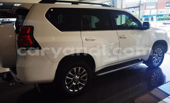 Tenga Tsaru Toyota Land Cruiser Prado Chena Mota in Kitwe in Zambia Tenga Tsaru Toyota Land Cruiser Prado Chena Mota in Kitwe in Zambia