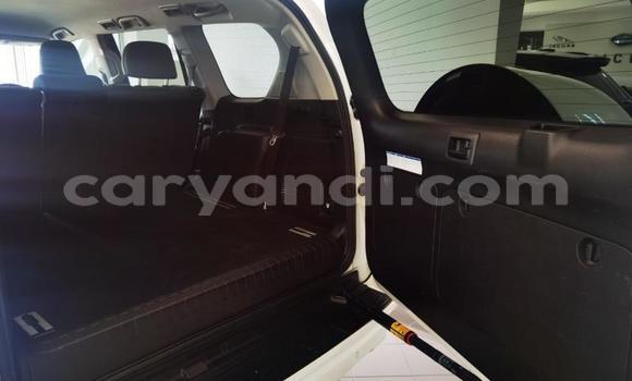 Tenga Tsaru Toyota Land Cruiser Prado Chena Mota in Kitwe in Zambia Tenga Tsaru Toyota Land Cruiser Prado Chena Mota in Kitwe in Zambia