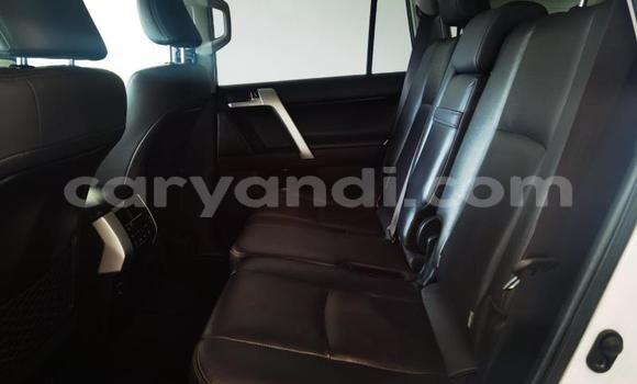 Tenga Tsaru Toyota Land Cruiser Prado Chena Mota in Kitwe in Zambia Tenga Tsaru Toyota Land Cruiser Prado Chena Mota in Kitwe in Zambia