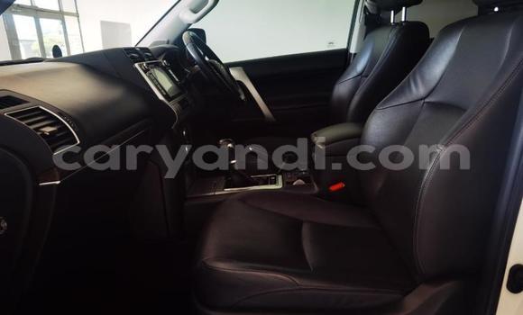 Tenga Tsaru Toyota Land Cruiser Prado Chena Mota in Kitwe in Zambia Tenga Tsaru Toyota Land Cruiser Prado Chena Mota in Kitwe in Zambia