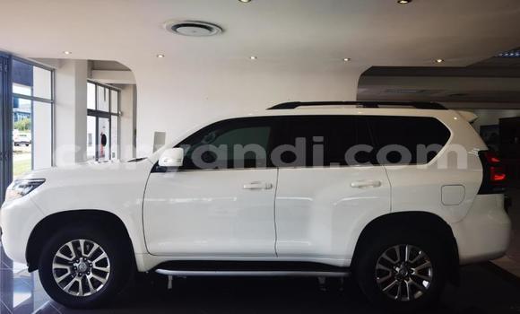 Tenga Tsaru Toyota Land Cruiser Prado Chena Mota in Kitwe in Zambia Tenga Tsaru Toyota Land Cruiser Prado Chena Mota in Kitwe in Zambia