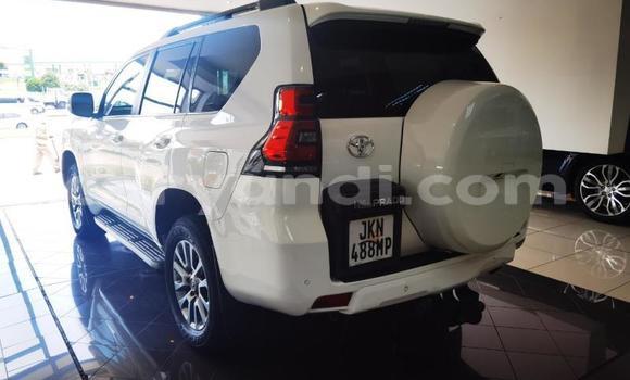 Tenga Tsaru Toyota Land Cruiser Prado Chena Mota in Kitwe in Zambia Tenga Tsaru Toyota Land Cruiser Prado Chena Mota in Kitwe in Zambia