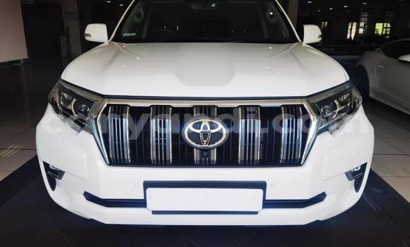 Tenga Tsaru Toyota Land Cruiser Prado Chena Mota in Kitwe in Zambia Tenga Tsaru Toyota Land Cruiser Prado Chena Mota in Kitwe in Zambia