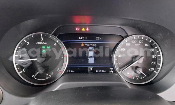 Tenga Tsaru Nissan Navara Chena Mota in Lusaka in Zambia Tenga Tsaru Nissan Navara Chena Mota in Lusaka in Zambia