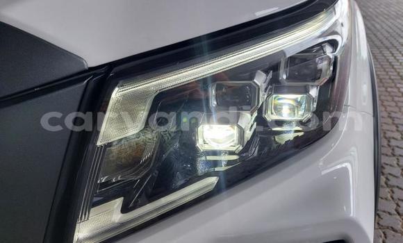 Tenga Tsaru Nissan Navara Chena Mota in Lusaka in Zambia Tenga Tsaru Nissan Navara Chena Mota in Lusaka in Zambia