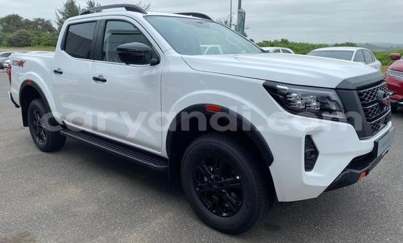 Tenga Tsaru Nissan Navara Chena Mota in Chingola in Zambia