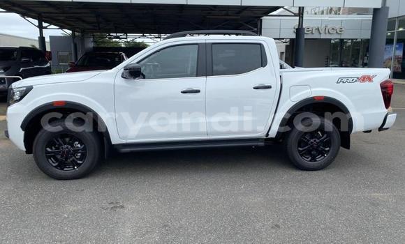 Tenga Tsaru Nissan Navara Chena Mota in Chingola in Zambia Tenga Tsaru Nissan Navara Chena Mota in Chingola in Zambia