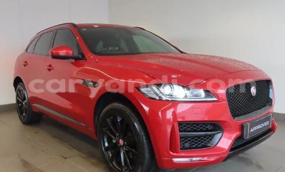 Buy Used Jaguar F-Pace Red Car in Lusaka in Zambia