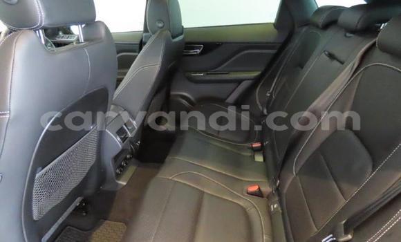 Acheter Occasion Voiture Jaguar F-Pace Rouge à Lusaka, Zambie Acheter Occasion Voiture Jaguar F-Pace Rouge à Lusaka, Zambie