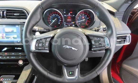Acheter Occasion Voiture Jaguar F-Pace Rouge à Lusaka, Zambie Acheter Occasion Voiture Jaguar F-Pace Rouge à Lusaka, Zambie