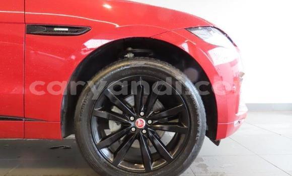 Acheter Occasion Voiture Jaguar F-Pace Rouge à Lusaka, Zambie Acheter Occasion Voiture Jaguar F-Pace Rouge à Lusaka, Zambie
