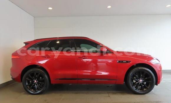 Acheter Occasion Voiture Jaguar F-Pace Rouge à Lusaka, Zambie Acheter Occasion Voiture Jaguar F-Pace Rouge à Lusaka, Zambie