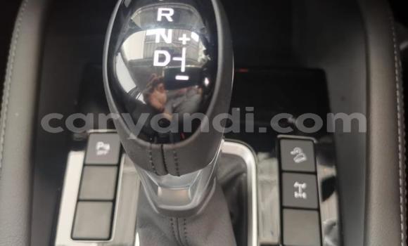 Acheter Occasion Voiture Mazda BT-50 Gris à Ndola, Zambie Acheter Occasion Voiture Mazda BT-50 Gris à Ndola, Zambie