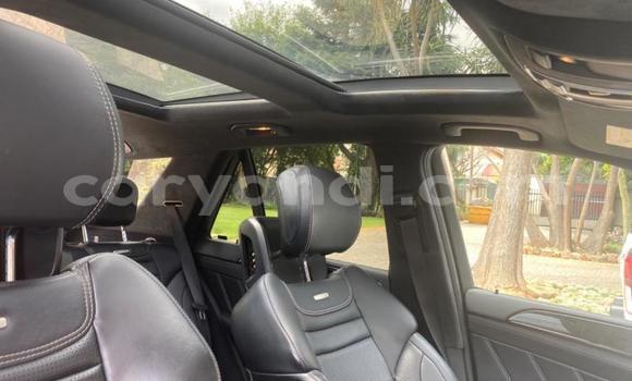 Buy Used Mercedes‒Benz M-klasse AMG White Car in Lusaka in Zambia Buy Used Mercedes‒Benz M-klasse AMG White Car in Lusaka in Zambia