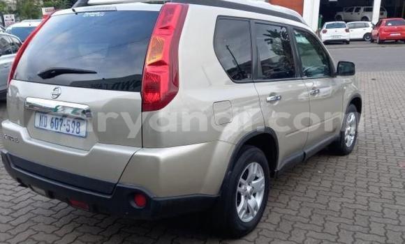 Nunua Ilio tumika Nissan X–Trail Brown Gari ndani ya Ndola nchini Zambia Nunua Ilio tumika Nissan X–Trail Brown Gari ndani ya Ndola nchini Zambia