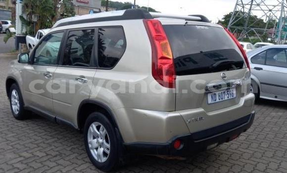Nunua Ilio tumika Nissan X–Trail Brown Gari ndani ya Ndola nchini Zambia Nunua Ilio tumika Nissan X–Trail Brown Gari ndani ya Ndola nchini Zambia
