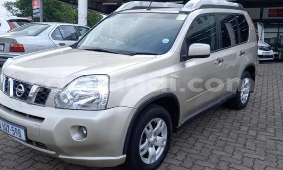 Nunua Ilio tumika Nissan X–Trail Brown Gari ndani ya Ndola nchini Zambia Nunua Ilio tumika Nissan X–Trail Brown Gari ndani ya Ndola nchini Zambia