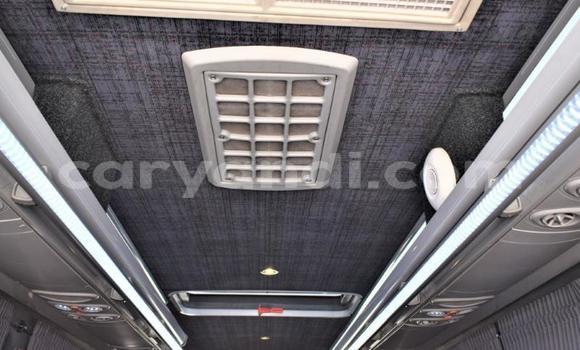 Tenga Tsaru Mercedes‒Benz Viano Chena Mota in Lusaka in Zambia Tenga Tsaru Mercedes‒Benz Viano Chena Mota in Lusaka in Zambia