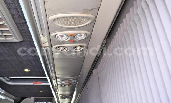 Tenga Tsaru Mercedes‒Benz Viano Chena Mota in Lusaka in Zambia Tenga Tsaru Mercedes‒Benz Viano Chena Mota in Lusaka in Zambia