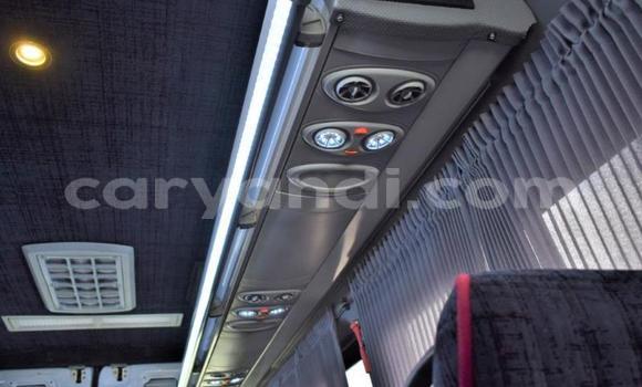 Tenga Tsaru Mercedes‒Benz Viano Chena Mota in Lusaka in Zambia Tenga Tsaru Mercedes‒Benz Viano Chena Mota in Lusaka in Zambia