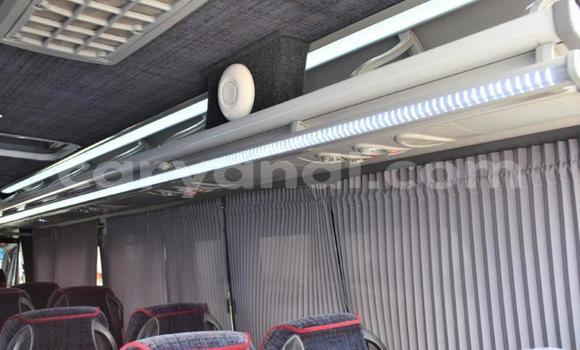 Tenga Tsaru Mercedes‒Benz Viano Chena Mota in Lusaka in Zambia Tenga Tsaru Mercedes‒Benz Viano Chena Mota in Lusaka in Zambia