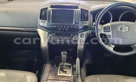 Acheter Occasion Voiture Toyota Land Cruiser Blanc à Lusaka, Zambie Acheter Occasion Voiture Toyota Land Cruiser Blanc à Lusaka, Zambie