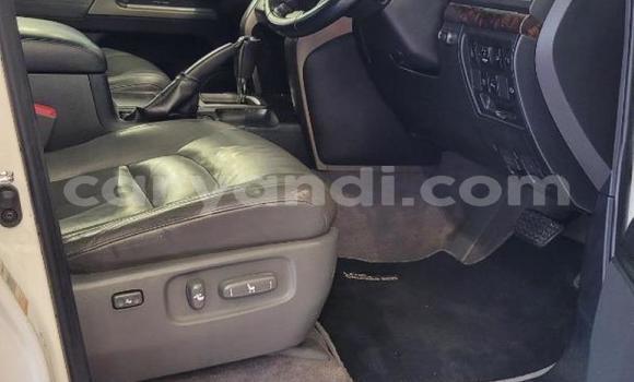 Acheter Occasion Voiture Toyota Land Cruiser Blanc à Lusaka, Zambie Acheter Occasion Voiture Toyota Land Cruiser Blanc à Lusaka, Zambie