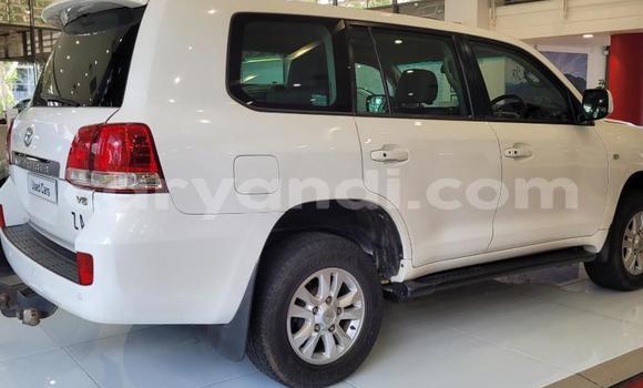 Acheter Occasion Voiture Toyota Land Cruiser Blanc à Lusaka, Zambie Acheter Occasion Voiture Toyota Land Cruiser Blanc à Lusaka, Zambie