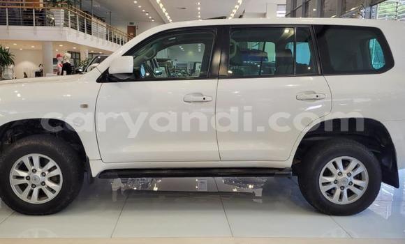 Acheter Occasion Voiture Toyota Land Cruiser Blanc à Lusaka, Zambie Acheter Occasion Voiture Toyota Land Cruiser Blanc à Lusaka, Zambie
