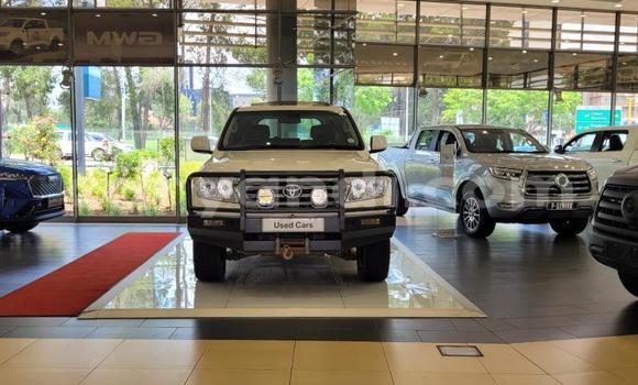Acheter Occasion Voiture Toyota Land Cruiser Blanc à Lusaka, Zambie Acheter Occasion Voiture Toyota Land Cruiser Blanc à Lusaka, Zambie