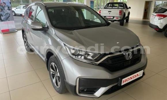 Buy Used Honda CR–V Silver Car in Ndola in Zambia