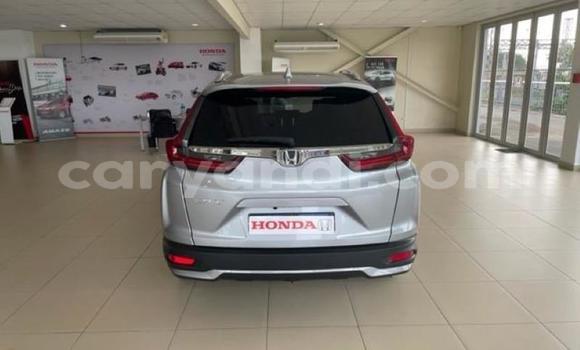 Buy Used Honda CR–V Silver Car in Ndola in Zambia Buy Used Honda CR–V Silver Car in Ndola in Zambia