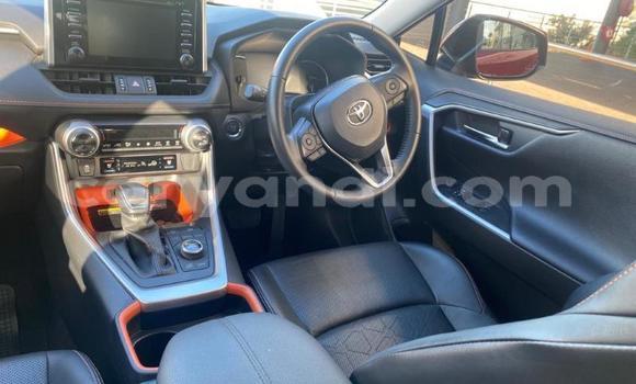Buy Used Toyota RAV4 Red Car in Lusaka in Zambia Buy Used Toyota RAV4 Red Car in Lusaka in Zambia