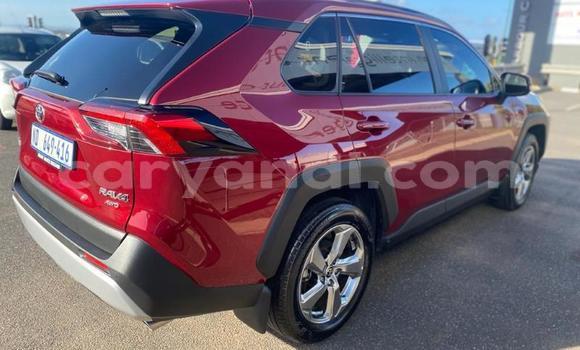 Buy Used Toyota RAV4 Red Car in Lusaka in Zambia Buy Used Toyota RAV4 Red Car in Lusaka in Zambia